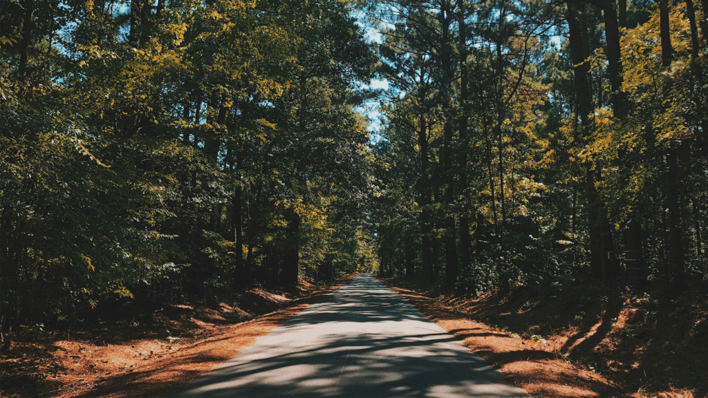 East Texas Palestine Road
